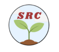 seattlerootscollective.org